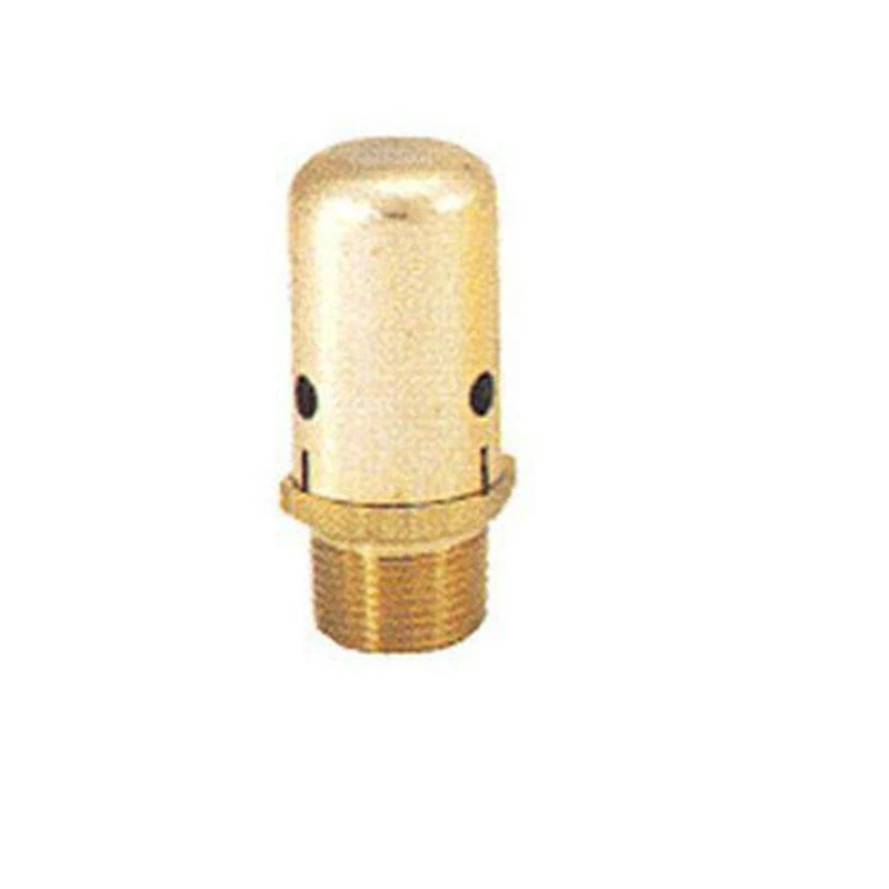 ITT-Bell & Gossett No. 26 Male Threaded Brass 3/4 in. 150 psig BFP Vacuum Breaker | Ferguson